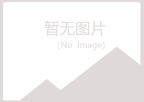 东川区冰夏化学有限公司